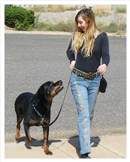 Adrienne Farricelli CPDT-KA Certified Dog Trainer