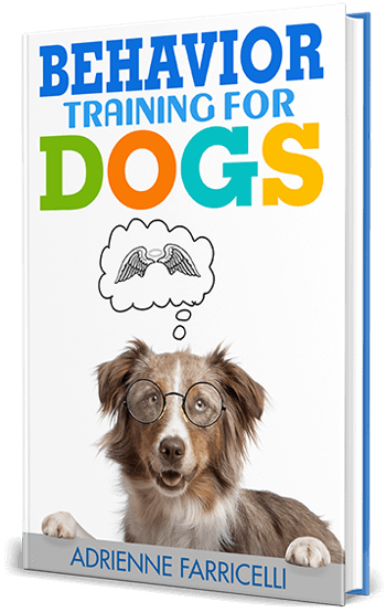 Behavior Training for Dogs Free Bonus Course