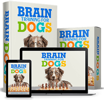 Brain Training for Dogs Bundle