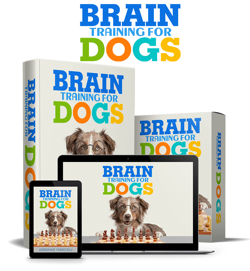 Brain Training for Dogs Complete Course Bundle